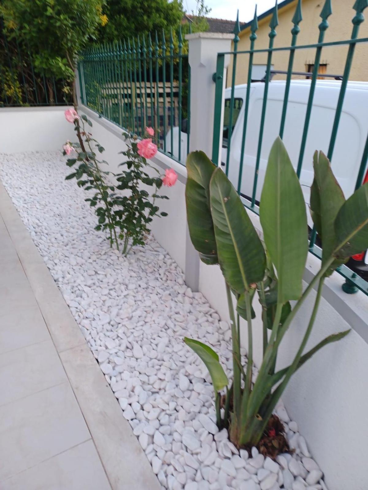 Lagoon & Country Side Home Ilhavo Luaran gambar